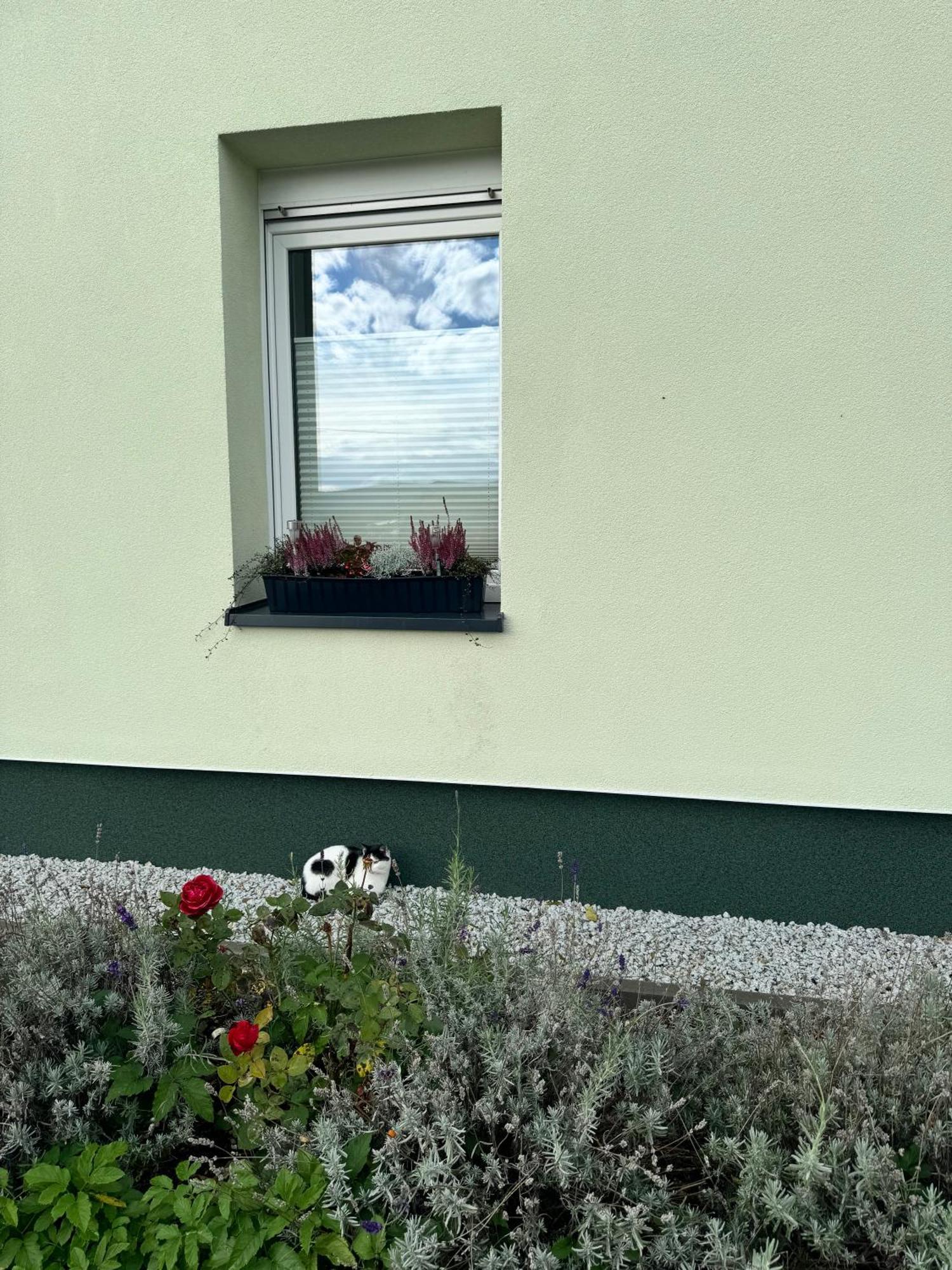 Apartamento Viridi Radomierz Exterior foto